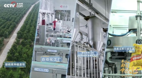 洽洽食品 把控品質(zhì)從全產(chǎn)業(yè)鏈著手